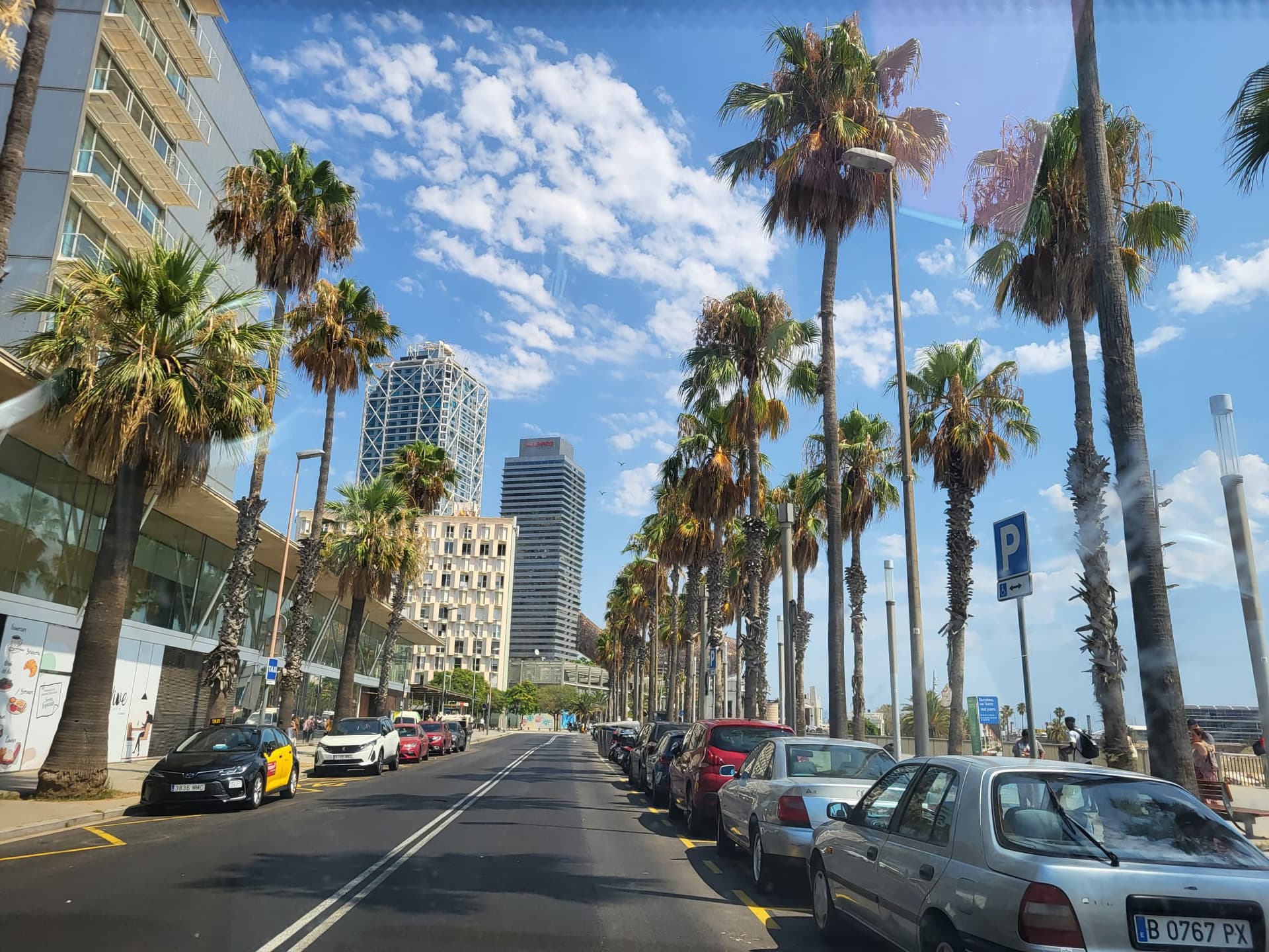 Faleza Barcelona cu palmieri – vacanță Barcelona în grup pe Mediterana